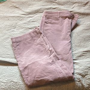 EVERLANE Corduroy Pants Womens 16